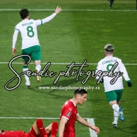 Serbia - Ireland (037)